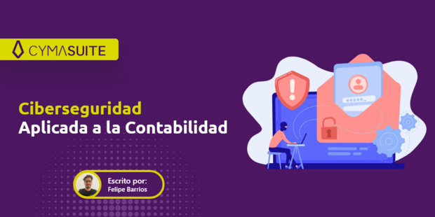 Ciberseguridad aplicada a la contabilidad.
